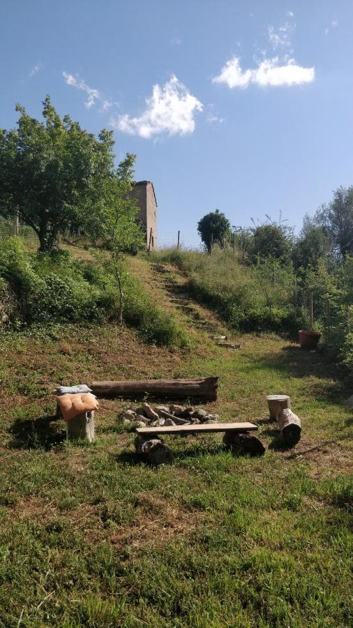Podere Cerrete - Eco Farmhouse Castel del Piano  Exterior photo