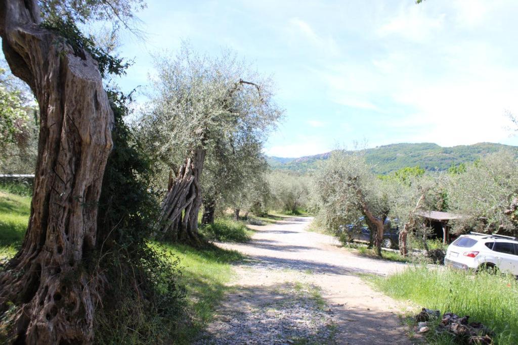 Podere Cerrete - Eco Farmhouse Castel del Piano  Exterior photo